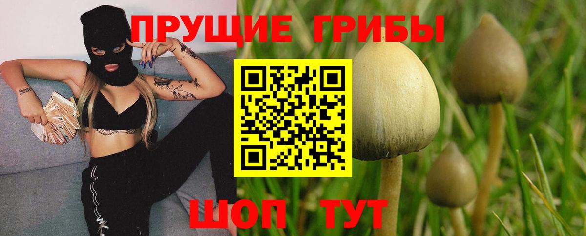Новоалтайск  Псилоцибиновые грибы ЛСД  Псилоцибиновые грибы ЛСД  наркотики  Вход с VPN 